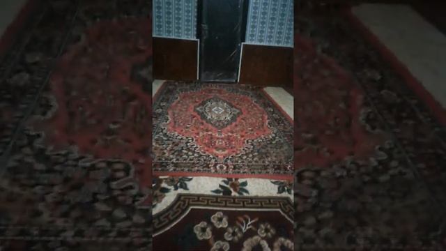 ЖАНЫ УЙЛОР