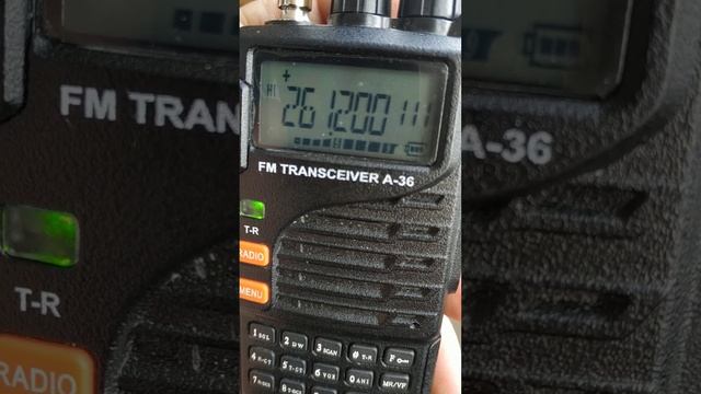 Что то бабуины в Саткоме на восточных банках пасутся. 🧐 смотреть онлайн