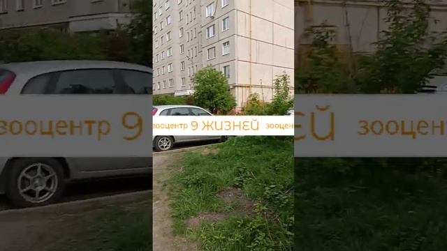 Соединяем хвосты смотреть онлайн