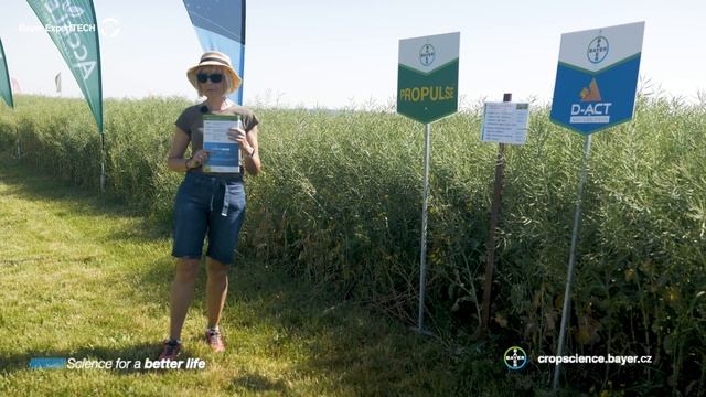 Prohlídka porostů v Libčanech смотреть онлайн