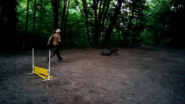 малінуа смотреть онлайн