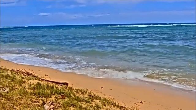 ハウウラ・ビーチ・パーク / Hau'ula Beach Park @ Hauula смотреть онлайн
