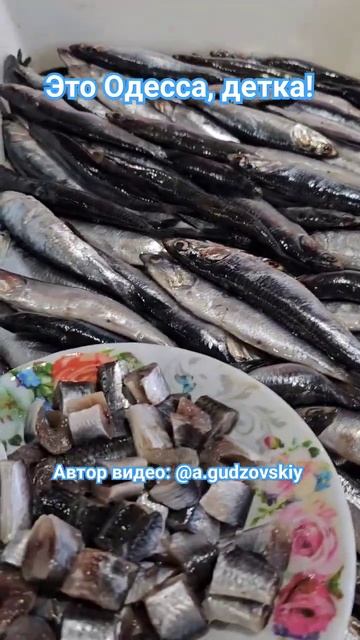 Одесса Привоз Цены на рыбку у Нади 15.02.2024 #одесса #обзорцен #привоз #привозодесса #shorts смотреть онлайн