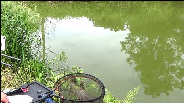 FURNACE MILL, MIXED BAIT MIXED BAG PLEASURE FISHING. смотреть онлайн