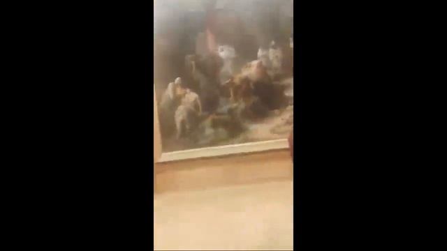 Медный Змей смотреть онлайн