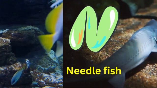 ABC Song | Sea Animals ABC Song | sea animals , Learn ABC, Baby Alphabet Letters, Phonics for Kids смотреть онлайн