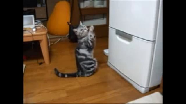 Не баянь! 17-й выпуск смотреть онлайн