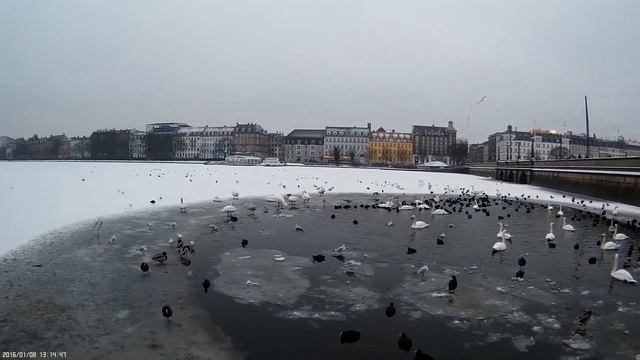 Mobius Vs RunCam 2 #Part 4 смотреть онлайн