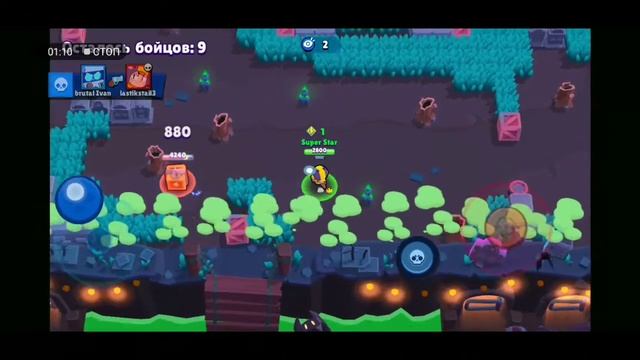 🐝ТЫ ПЧЕЛА Я ПЧЁЛОВОД🐝 смотреть онлайн