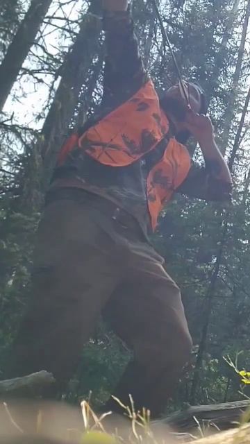 A Montana bear hunting adventure of a lifetime! смотреть онлайн