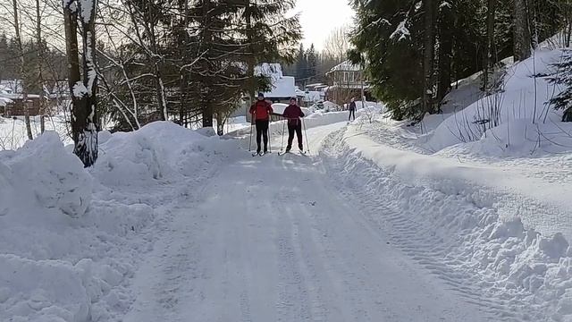 11 03 2023 Wiborg Stone Ice смотреть онлайн