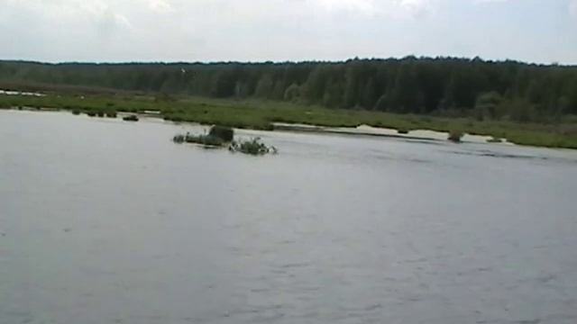 Чомга смотреть онлайн