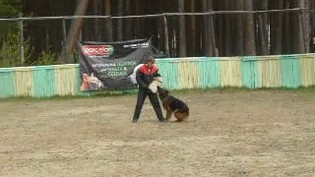 Тойфенланд Британия лобовая, Томск 2014 смотреть онлайн