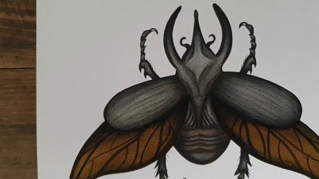 Atlas Beetle Ink Design смотреть онлайн