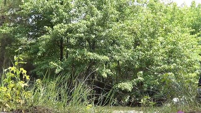 Прогулка на лошадях смотреть онлайн