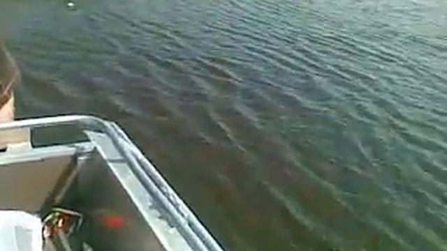 03072012 смотреть онлайн
