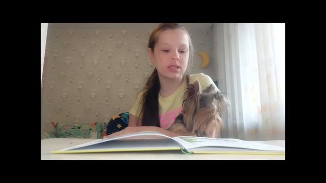 Маленькой Молли - про собачье "Спасибо" смотреть онлайн