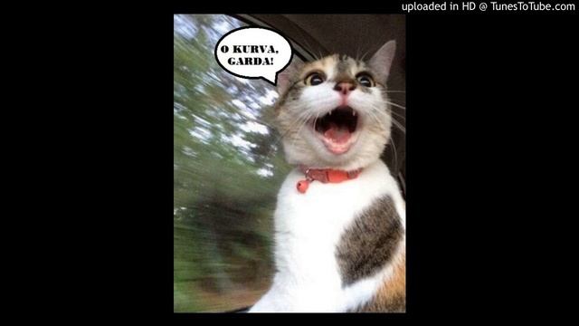 Santiago_Cortes_vs_Blur-Song_2 смотреть онлайн