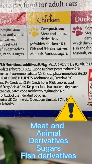 🐱 Felix Cat Food Review #catfood #cat смотреть онлайн