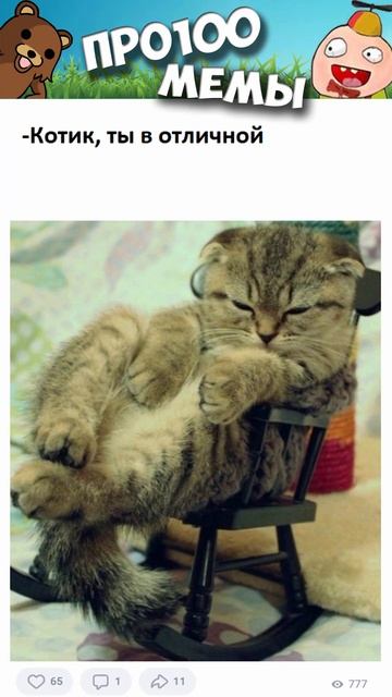 Мемы 2022 #мемы #мем #коты #котики #приколы #кошки #кот #котик #shorts смотреть онлайн