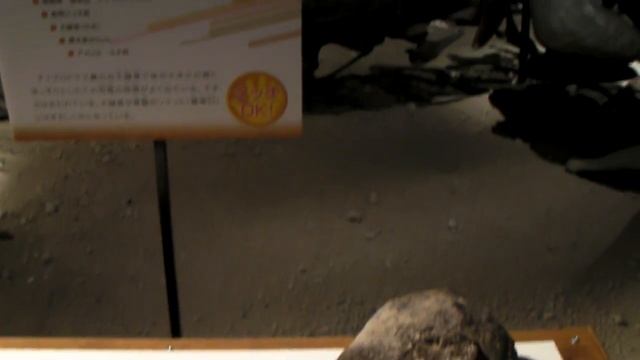 ディプロドクス@恐竜２００９砂漠の奇跡 смотреть онлайн