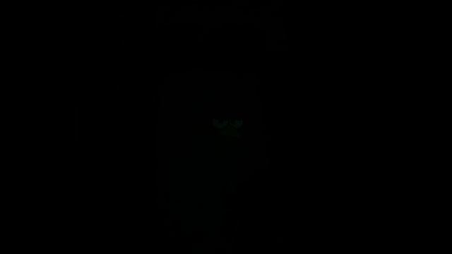 Светящаяся футболка Angry Birds in love мигает в так музыке смотреть онлайн