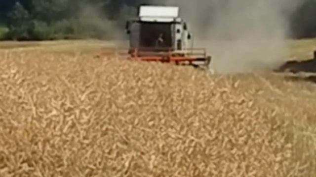 Claas tucano 430,Błażej atakuje rzepak,żniwa 2013 смотреть онлайн