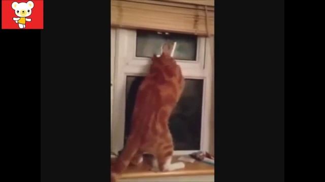 Мое измененное видео смотреть онлайн