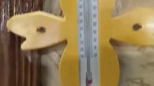 Покрытие BODY 950 перед покраской.