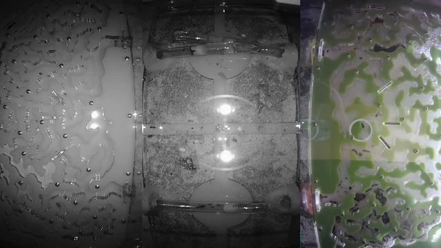 [VIDEO x16] Ant farm [NIGHT-19] Муравьиная ферма [онлайн/online] Муравьи Ants смотреть онлайн
