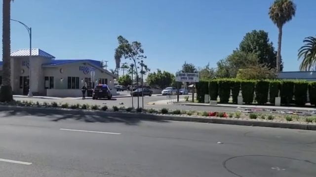 New 2021 Dodge Scat Pack Alignment after Air Ride Installed смотреть онлайн