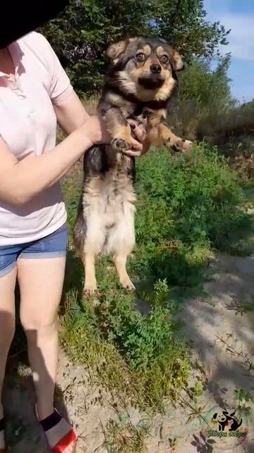 Мальчишку выкинули в лесу, где он больше 2х недель просидел на одном месте смотреть онлайн