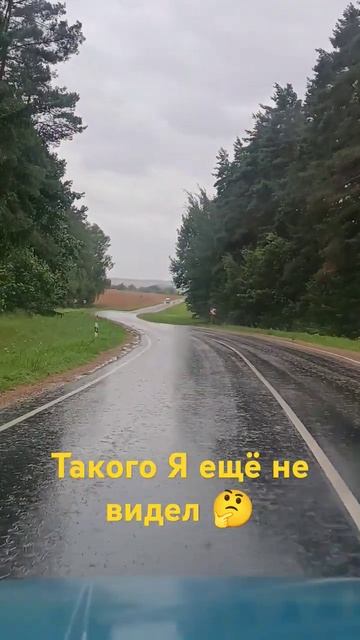 Т25 Белорусь... смотреть онлайн