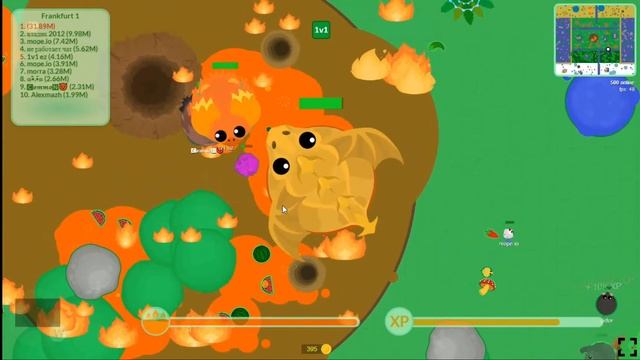 mope.io | solo game play | downkd by luck 1/1000 | Tiger mope смотреть онлайн