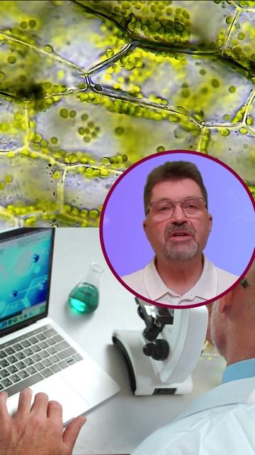 Мужской канал уролога - Сергей Новиков