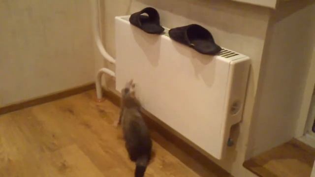 Asvel i tapok смотреть онлайн