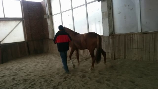 Вспоминаем хождение назад смотреть онлайн