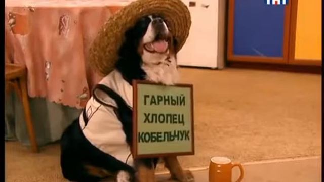 СЧАСТЛИВЫ ВМЕСТЕ 2 СЕЗОН С 70 ПО 73 СЕРИИ БУКИНЫ в хорошем качестве