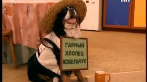 СЧАСТЛИВЫ ВМЕСТЕ 2 СЕЗОН С 70 ПО 73 СЕРИИ БУКИНЫ в хорошем качестве