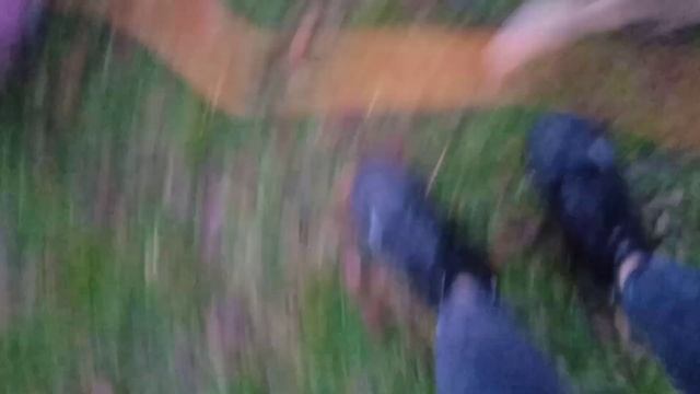 Выкинули щенков в завязанном пакете. У одного открытая рана 😖 смотреть онлайн