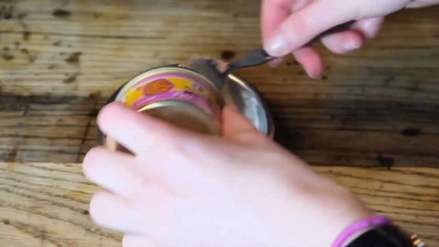 Wellness Complete Health Kitten Chicken Entrée Paté Review (We Tried It) смотреть онлайн
