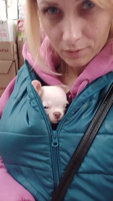 последний мой видос со Снежинкой♥️ смотреть онлайн