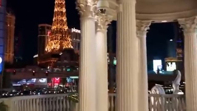 Псы под прикрытием