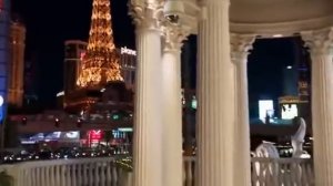 Псы под прикрытием