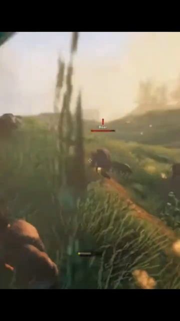 улий, пчелы, кабаны... #valheim #joespeen #sodaeffect #games #игры #приколы #моменты #dizoff смотреть онлайн