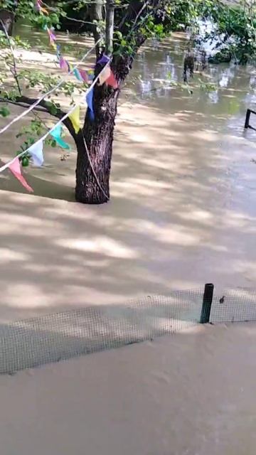 Архипоосиповка 8.09.2018 мой попадос смотреть онлайн