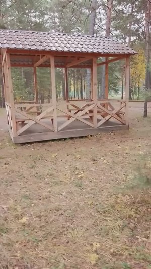 Санаторий ТЕСЬ . Вернулась и гуляю по лесу санатория.