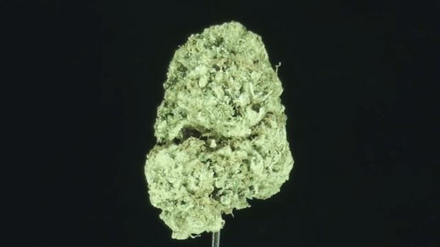 Bubba Kush Nugget on Rotational Display (with music) смотреть онлайн