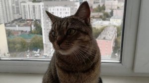 Ты моя целая вселенная