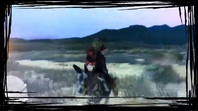 Red dead redemption zebra donkey gameplay смотреть онлайн